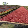 Shade Cloth For Coffee Beans Drying Bed